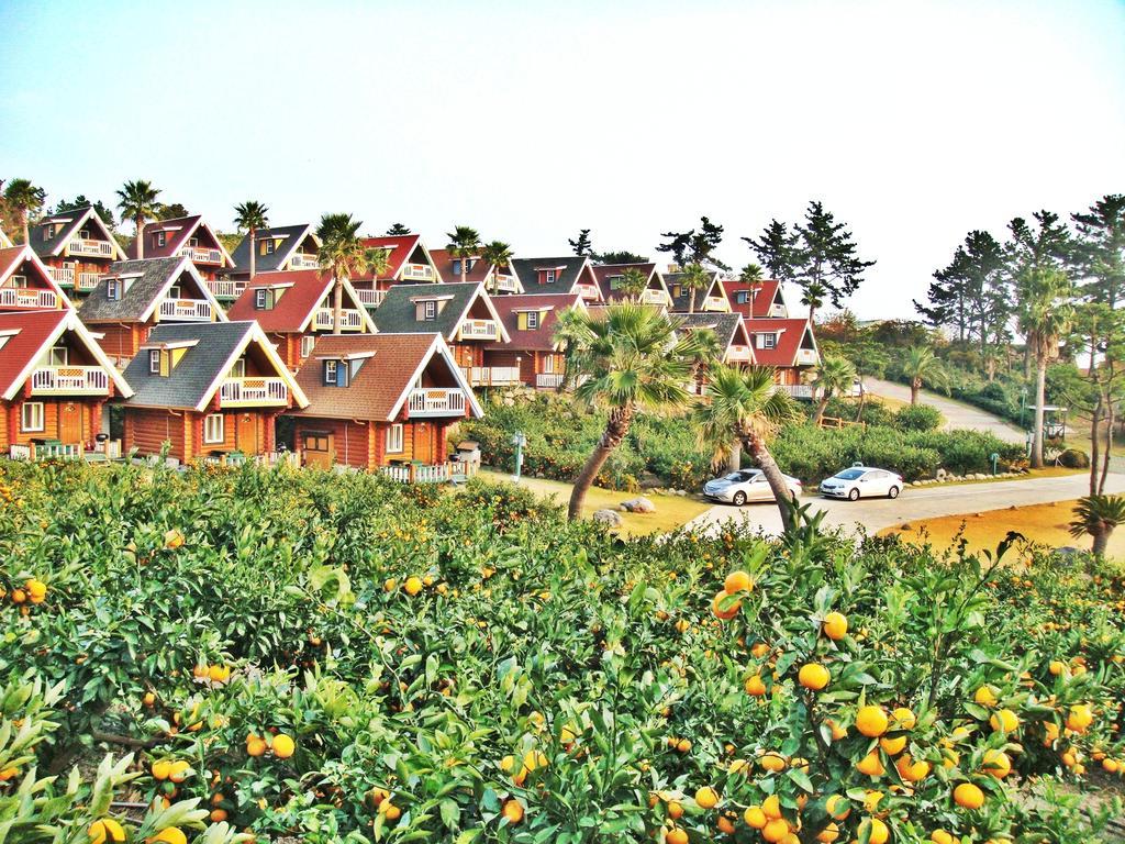 Jungmun Log Pension & Resort ซอกวีโพ ภายนอก รูปภาพ