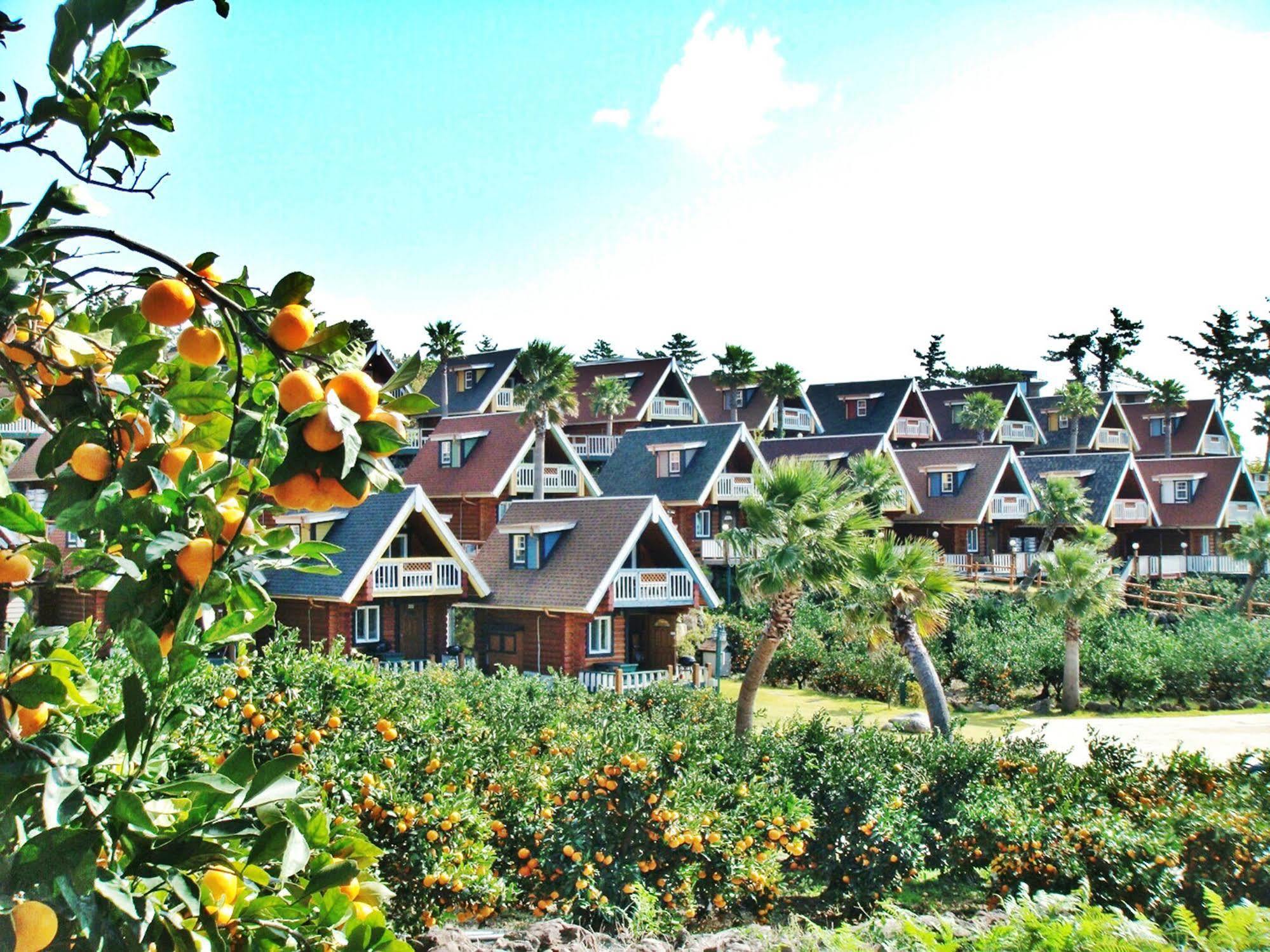Jungmun Log Pension & Resort ซอกวีโพ ภายนอก รูปภาพ